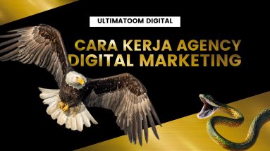 Perusahaan Digital Marketing - Jasa Digital Marketing Terbaik di Indonesia | Ultimatoom